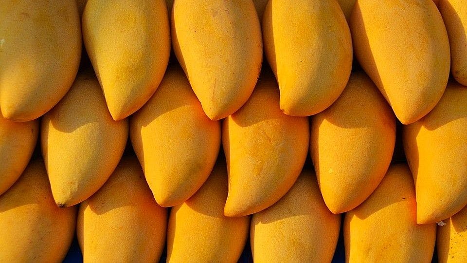 Mangoes