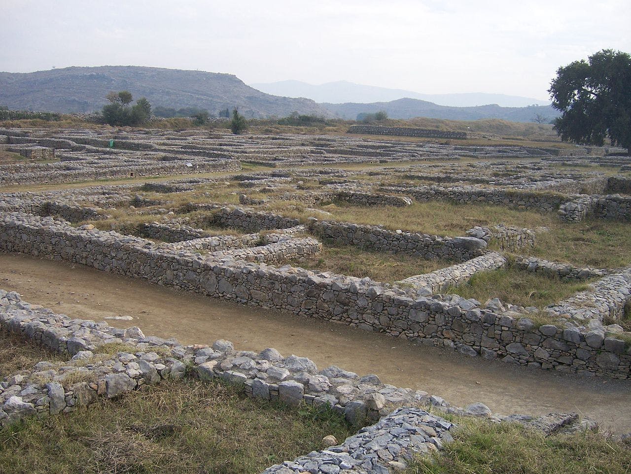 Remains of Sirkap