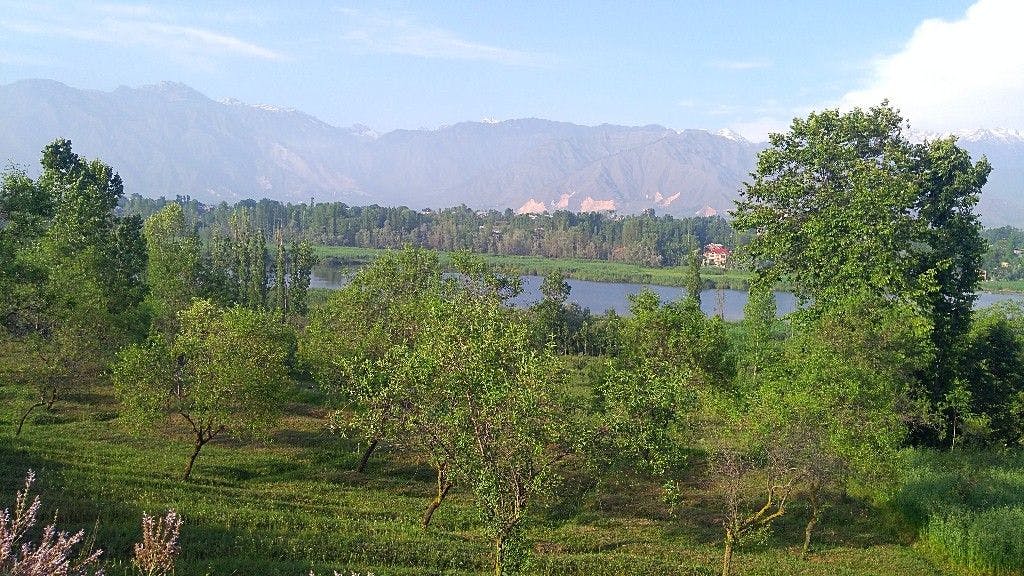 Valleys of Pampore