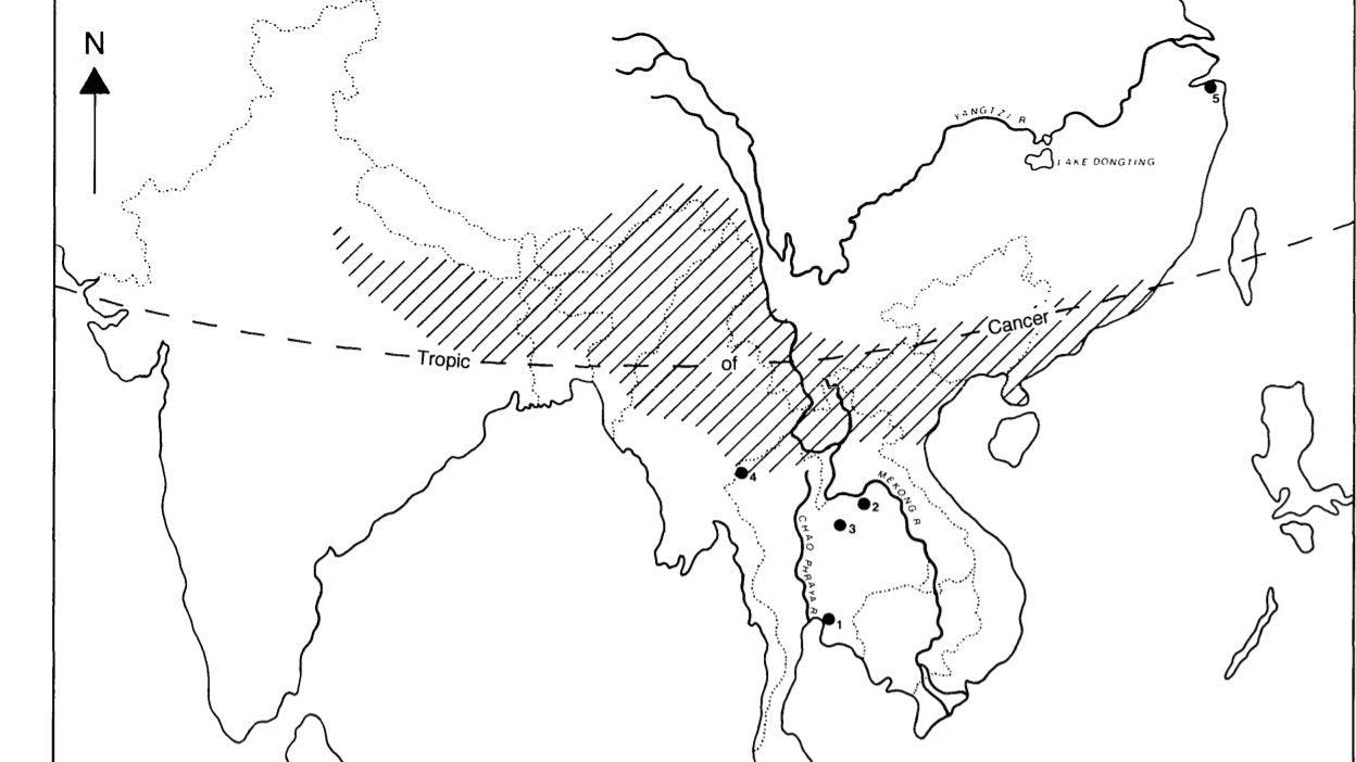 The shaded area in the zone where Chang proposed rice might have originated