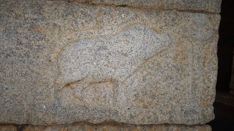 Royal symbol (a boar) of Vijayanagara Empire carved on the gate of Chandragiri Fort 