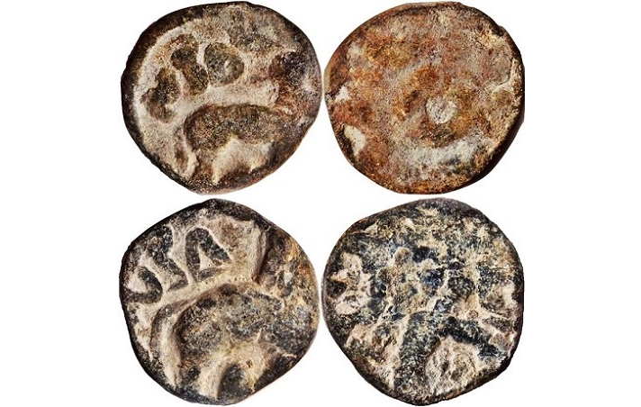 Coins of the Ikshavakus