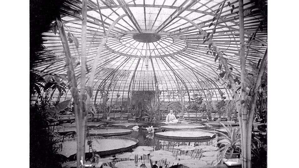 Greenhouse at Hortus Botanicus of Leiden (1890-1900)