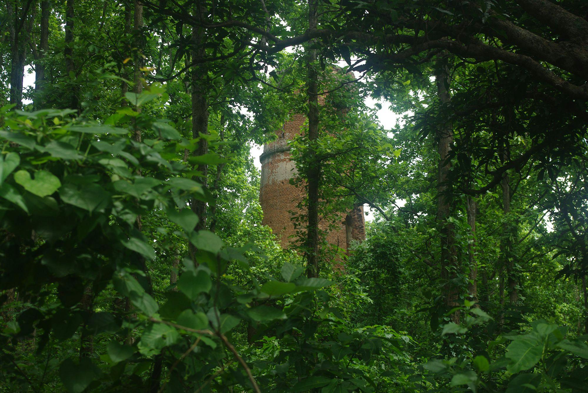 Semaphore Tower, Tantipukur Jungle-Bankura
