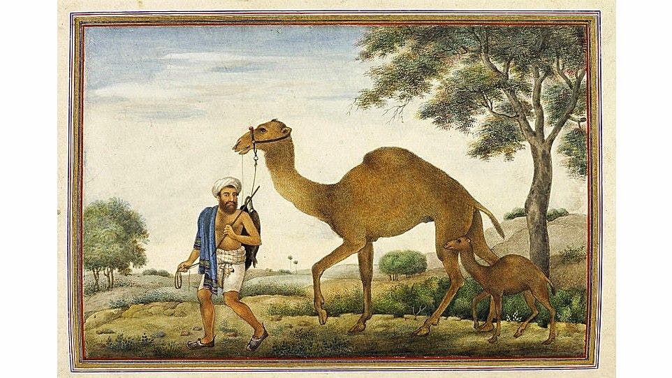 Painting of a Rabari man from 1825