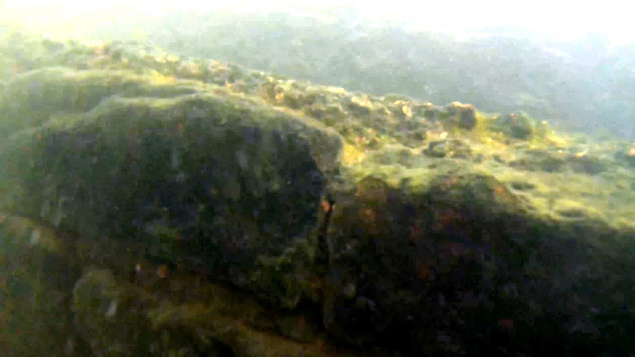 Under water image of the temple